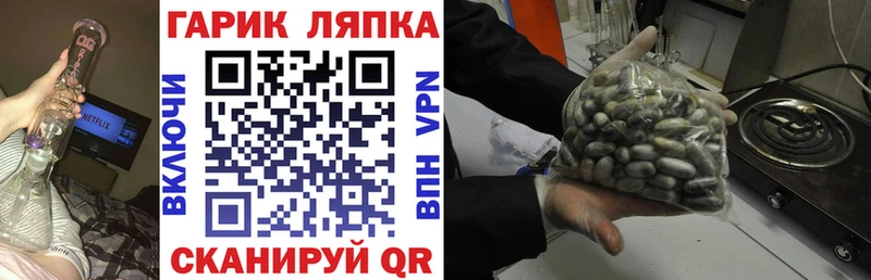 ГАШ гарик omg маркетплейс маркетплейс Telegram Ветлуга