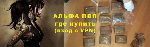 крисы Алзамай