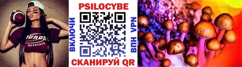 ссылка на мегу вход купить закладку Ветлуга Псилоцибиновые грибы Magic Shrooms