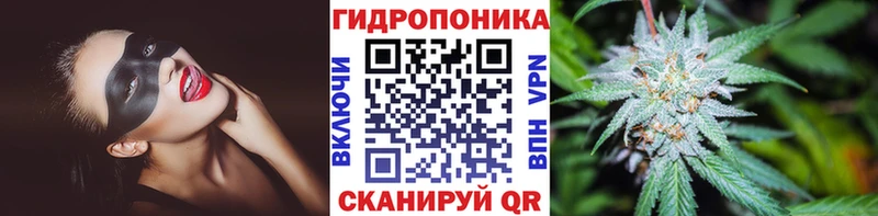 Канабис SATIVA & INDICA  Ветлуга 